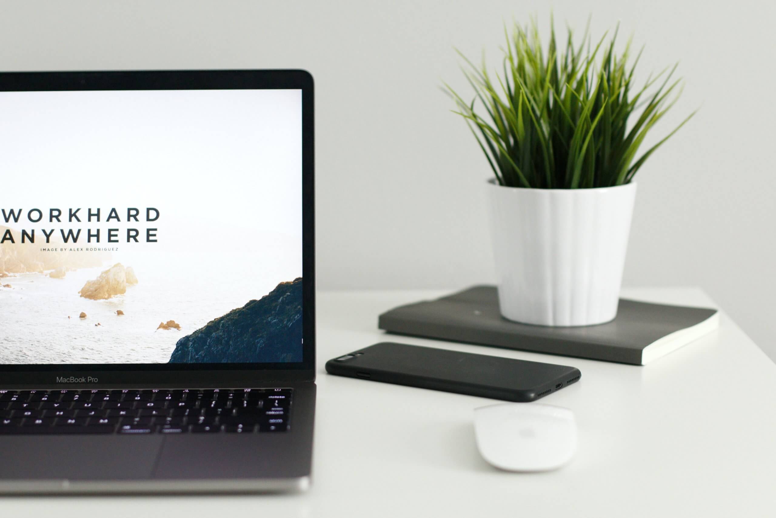 web development web development designs